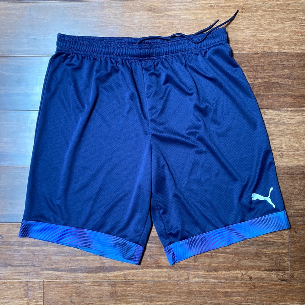 Puma Mens Regular Fit DryCell Shorts
